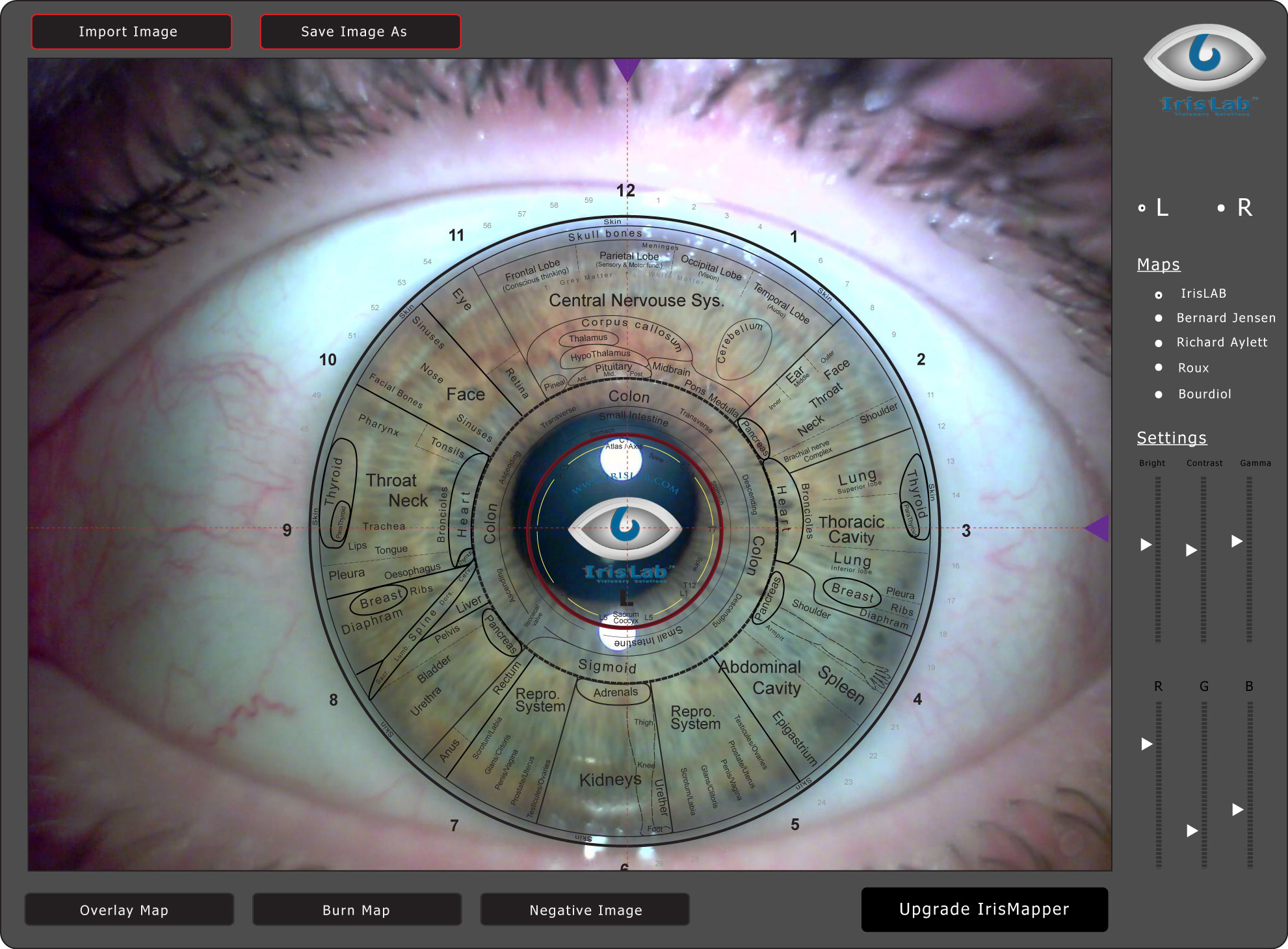 IrisMapper 2012 Reporting Features