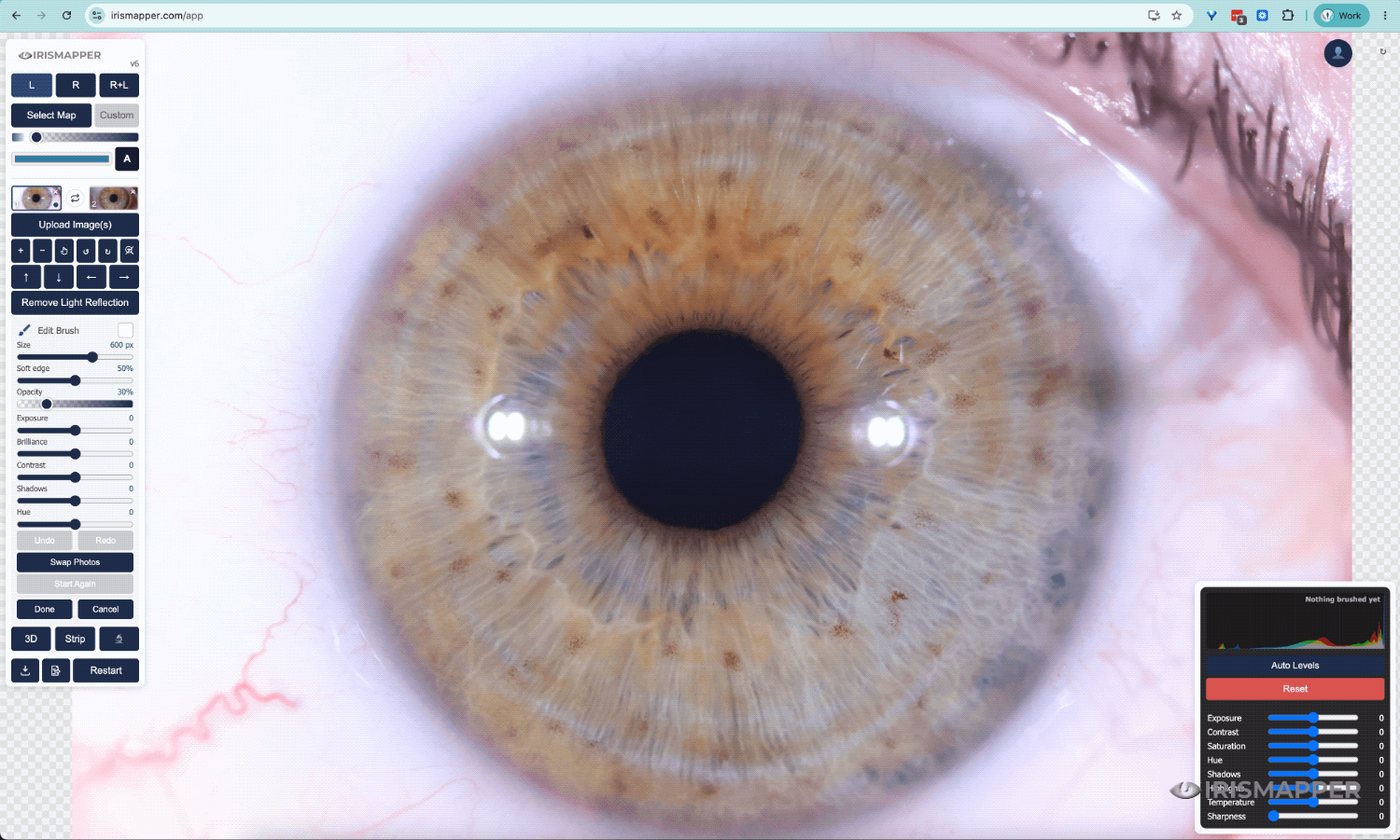 An iris photograph with two white light reflections beside the pupil